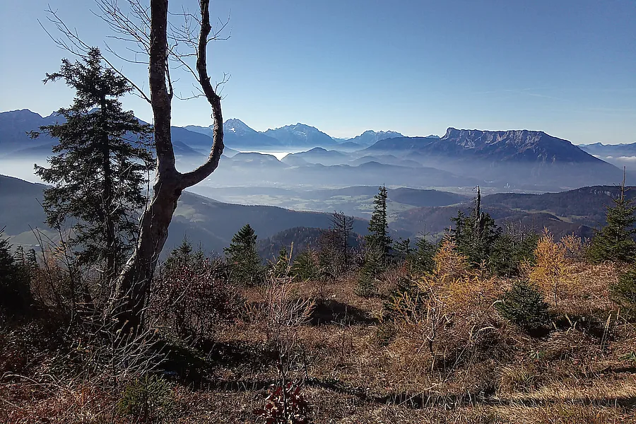 Blick vom Ochsenberg zum Untersberg